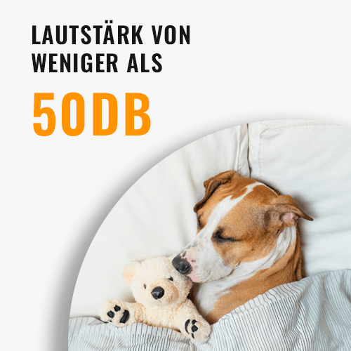 SilentClaw – Elektrischer Krallen Schleifer für Haustiere - Furrizo Store